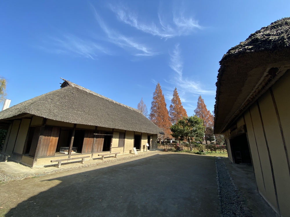 見沼たんぼ探訪（たんぼ〜）ラントリップDay１の写真28