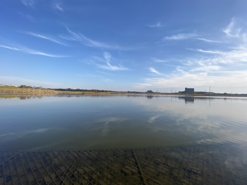 見沼たんぼ探訪（たんぼ〜）ラントリップDay１の写真30