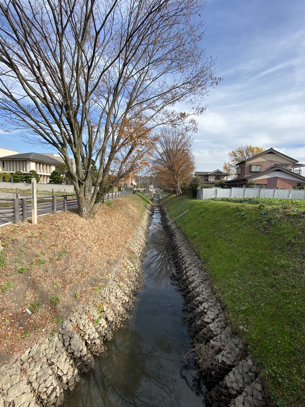 見沼たんぼ探訪（たんぼ〜）ラントリップDay１の写真32