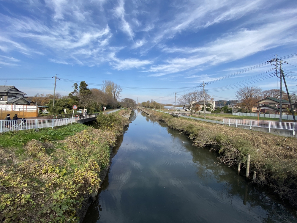 見沼たんぼ探訪（たんぼ〜）ラントリップDay１の写真33