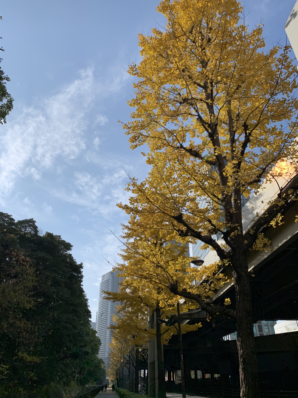 街並みを楽しむ両国〜蒲田の写真3