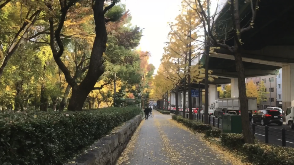 都会の中の空中トラック～大阪城公園の写真9