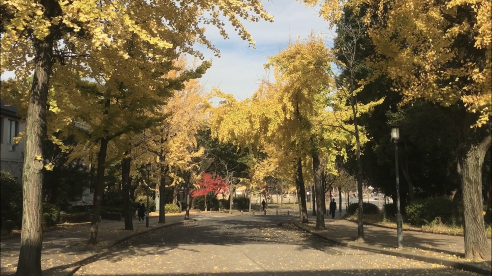 都会の中の空中トラック～大阪城公園の写真10