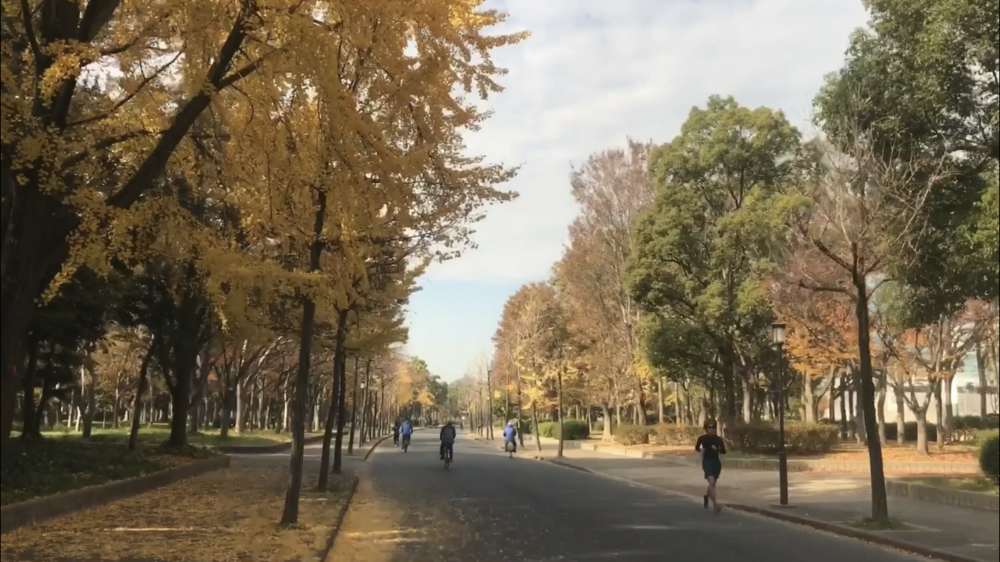 都会の中の空中トラック～大阪城公園の写真13
