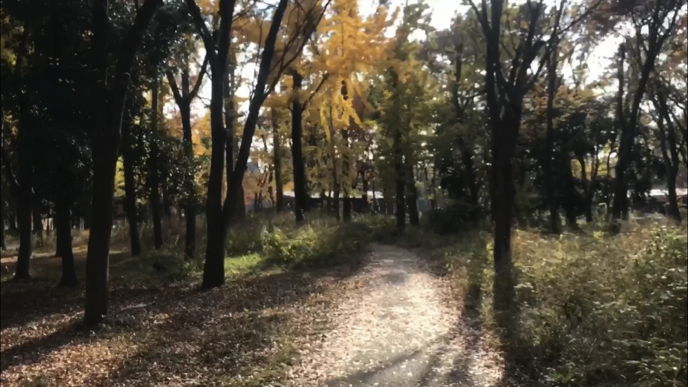 都会の中の空中トラック～大阪城公園の写真19