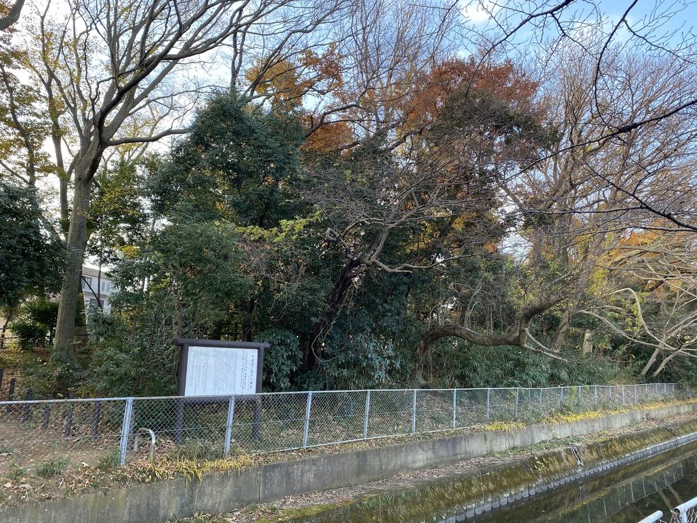 見沼たんぼ探訪ラントリップDay２の写真4