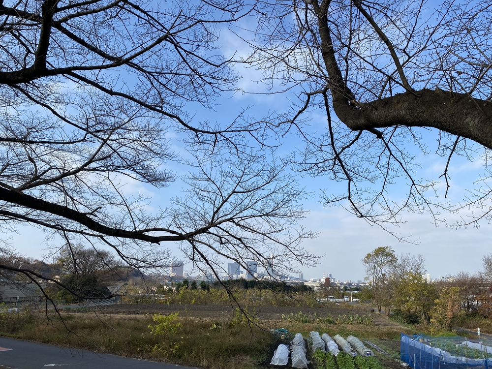 見沼たんぼ探訪ラントリップDay２の写真7