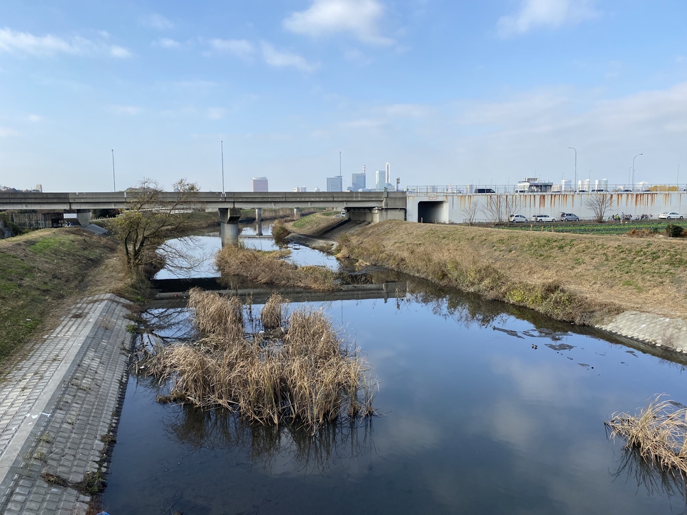 見沼たんぼ探訪ラントリップDay２の写真8