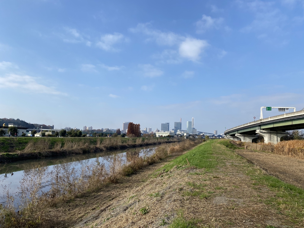 見沼たんぼ探訪ラントリップDay２の写真9