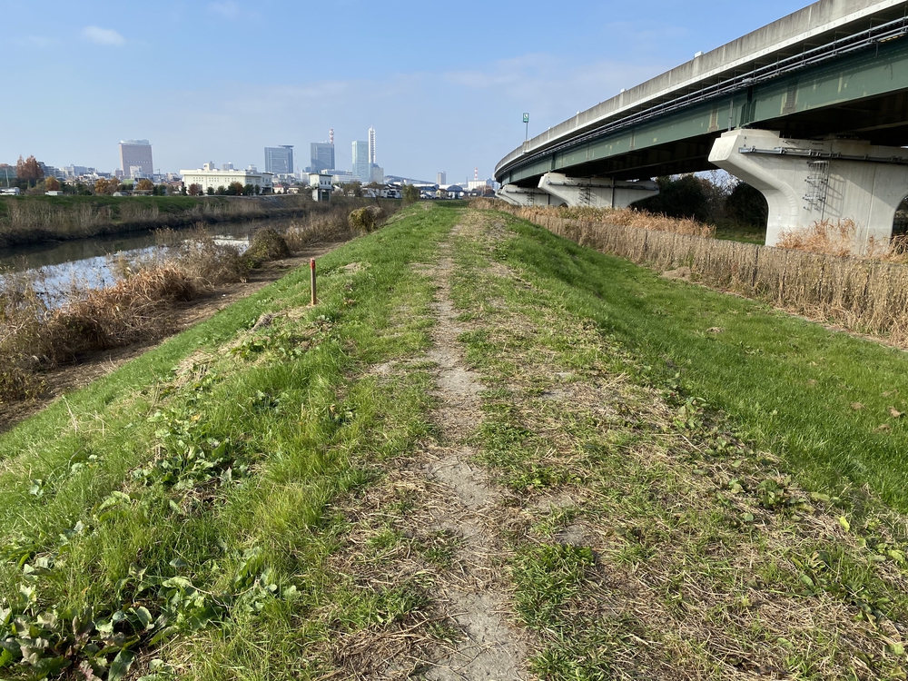 見沼たんぼ探訪ラントリップDay２の写真10