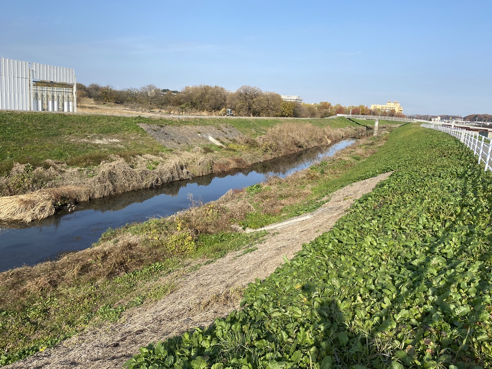 見沼たんぼ探訪ラントリップDay２の写真11