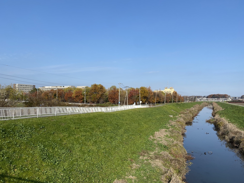 見沼たんぼ探訪ラントリップDay２の写真13