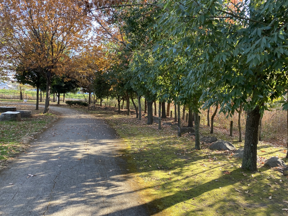 見沼たんぼ探訪ラントリップDay２の写真16