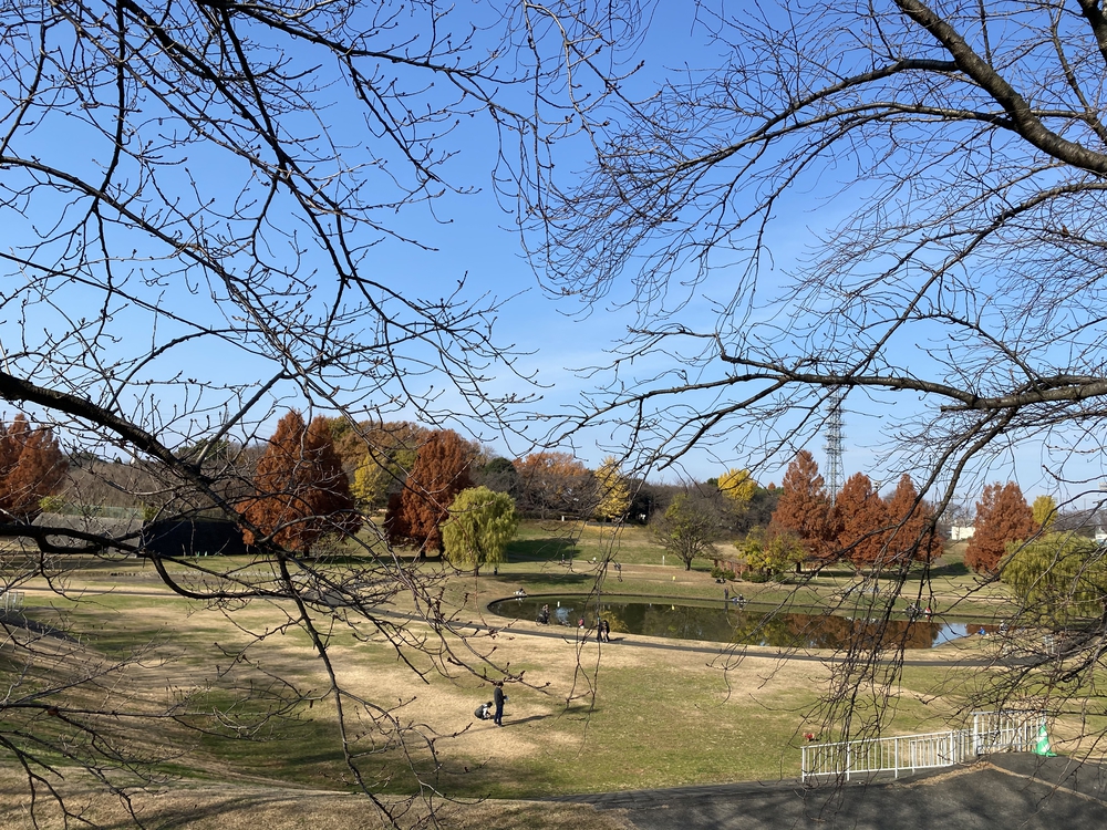 見沼たんぼ探訪ラントリップDay２の写真18