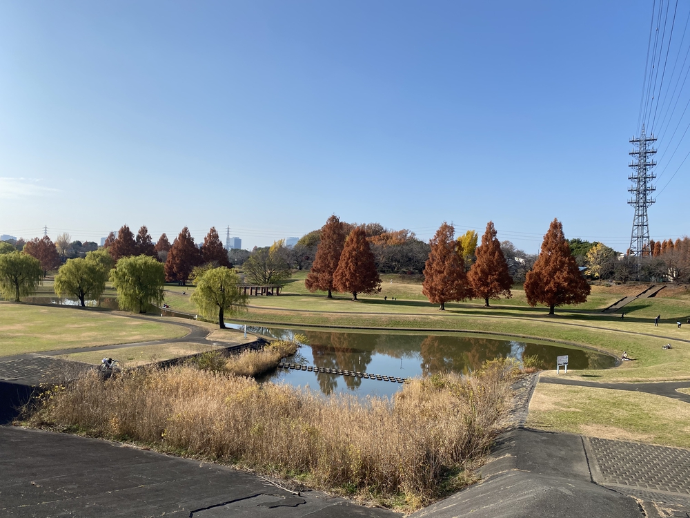 見沼たんぼ探訪ラントリップDay２の写真20