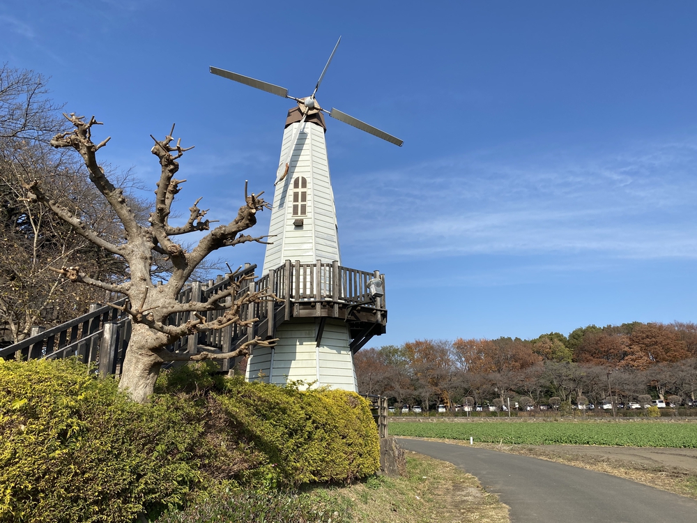 見沼たんぼ探訪ラントリップDay２の写真24