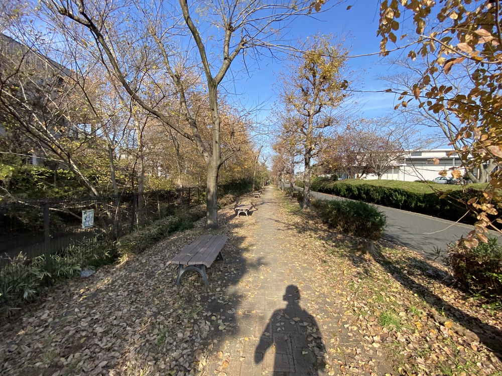 見沼たんぼ探訪ラントリップDay２の写真26