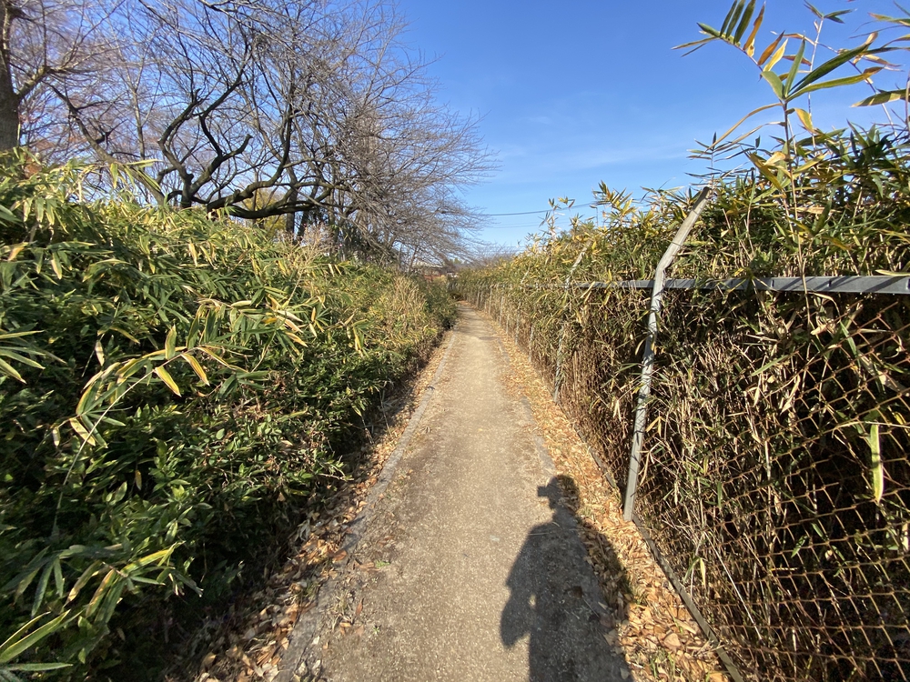 見沼たんぼ探訪ラントリップDay２の写真27