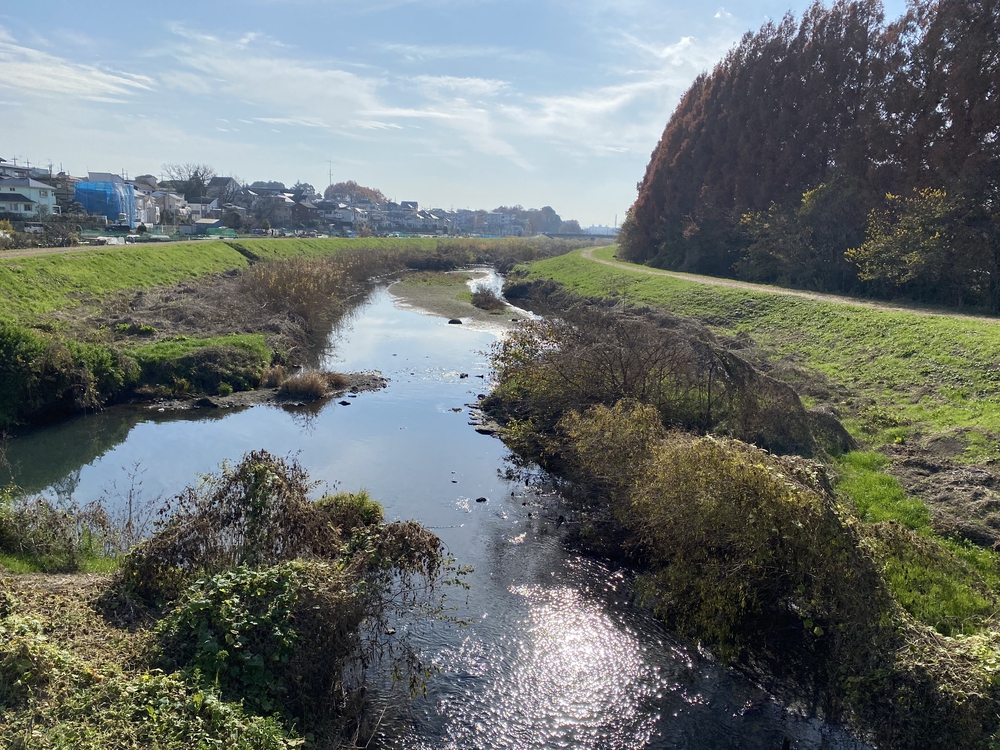見沼たんぼ探訪ラントリップDay２の写真30