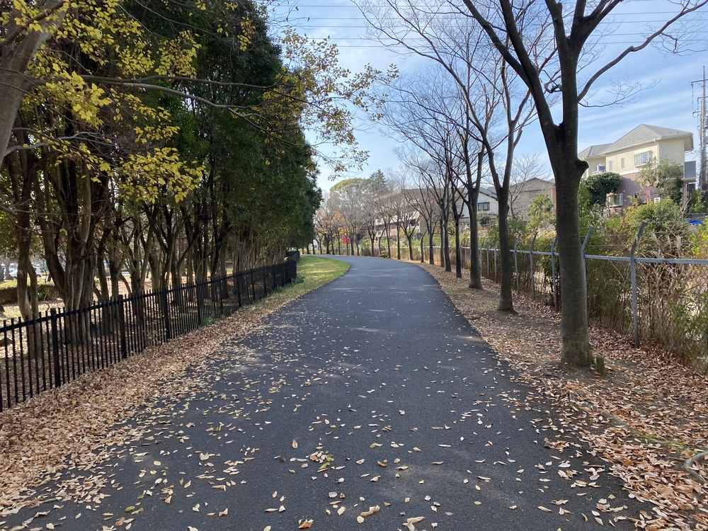 見沼たんぼ探訪ラントリップDay２の写真31