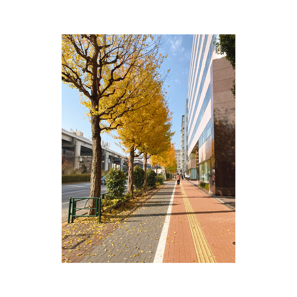 秋の紅葉🍁＆春の桜の時期にオススメ♪の写真4