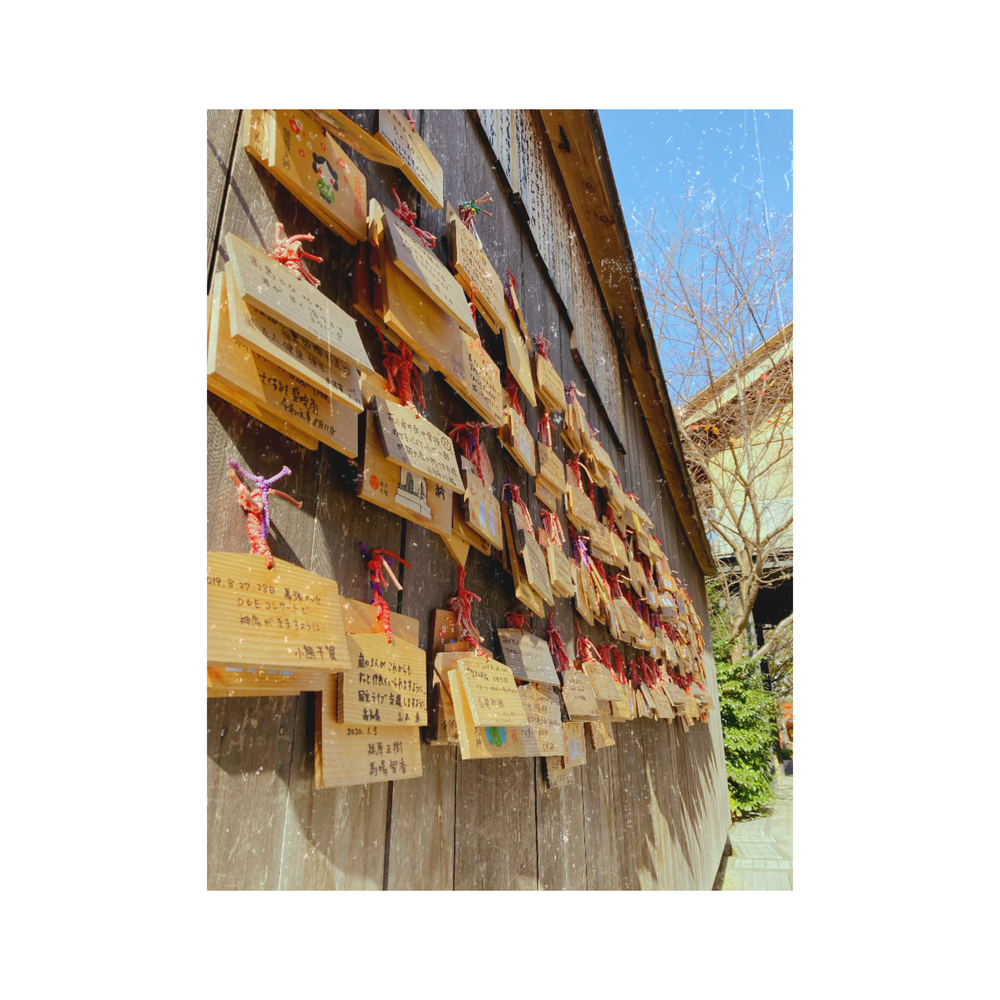 秋の紅葉🍁＆春の桜の時期にオススメ♪の写真5