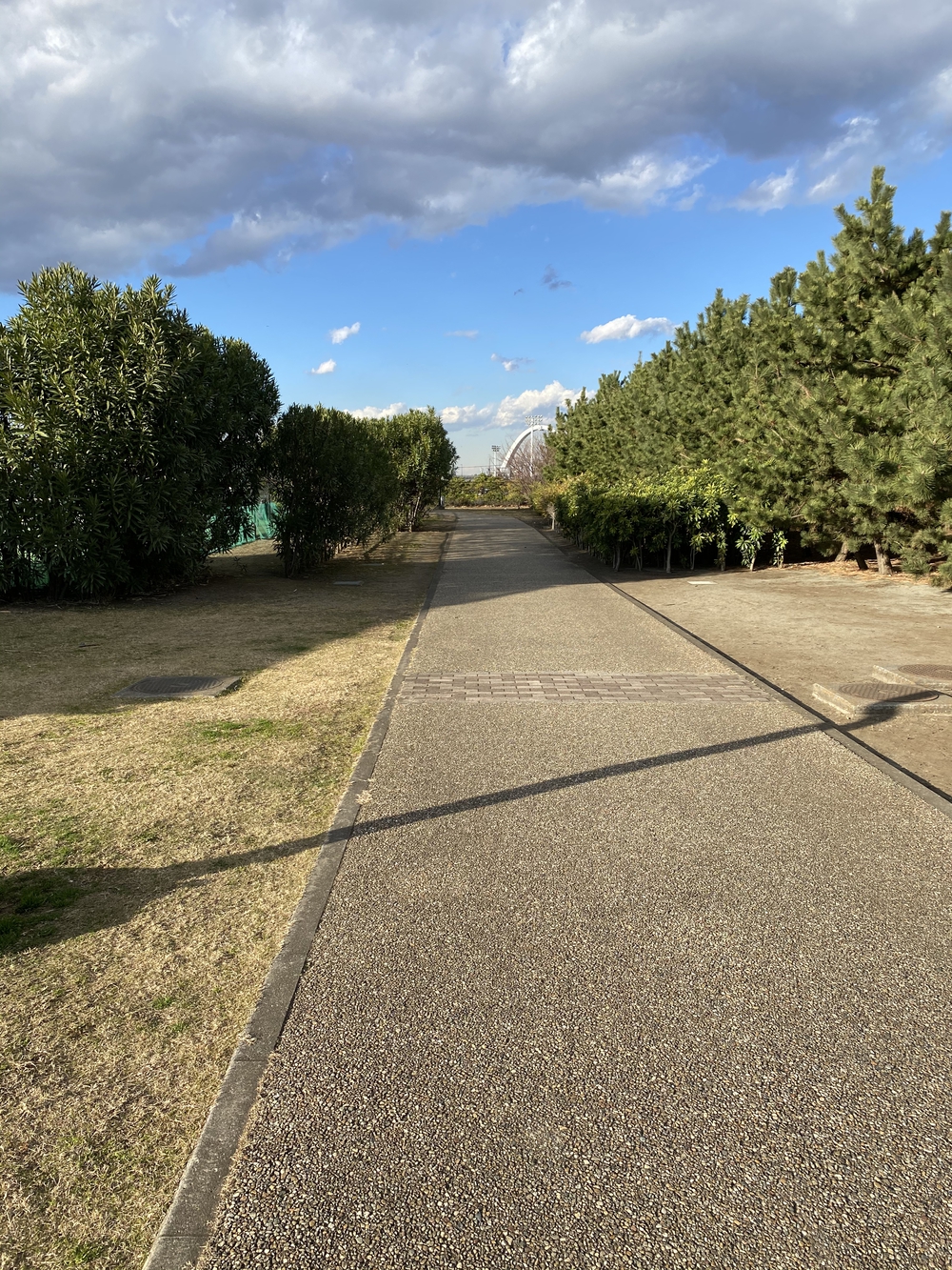 『富士山』あり『海』あり柳島しおさい公園 の写真3