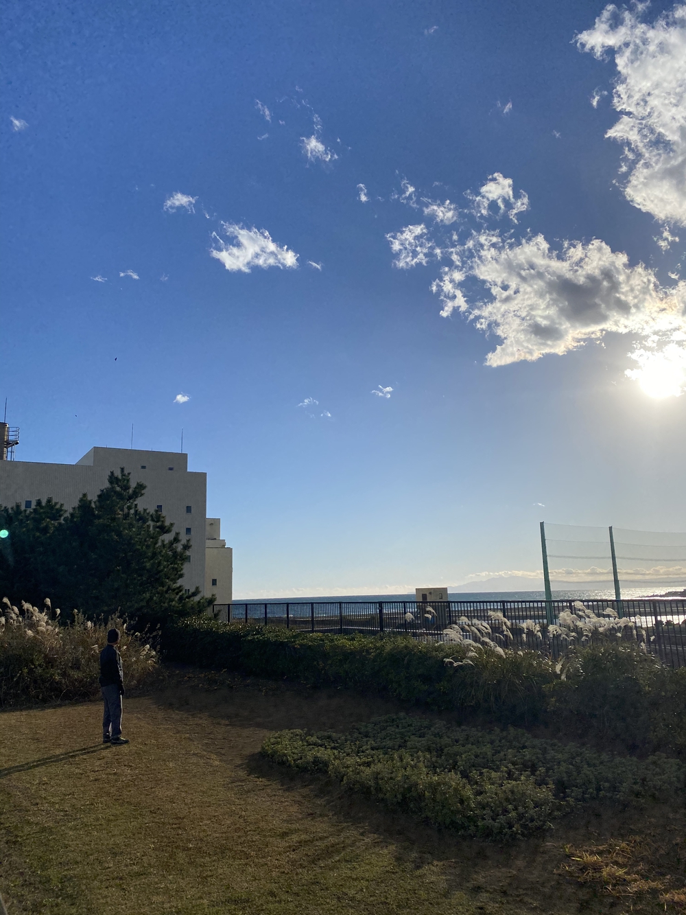 『富士山』あり『海』あり柳島しおさい公園 の写真5