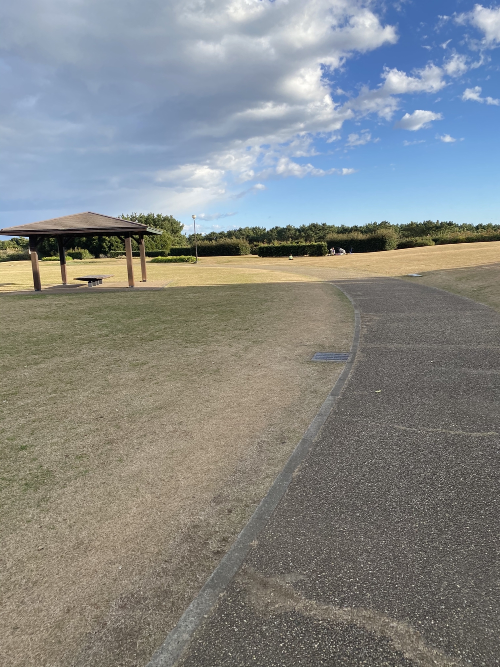 『富士山』あり『海』あり柳島しおさい公園 の写真6