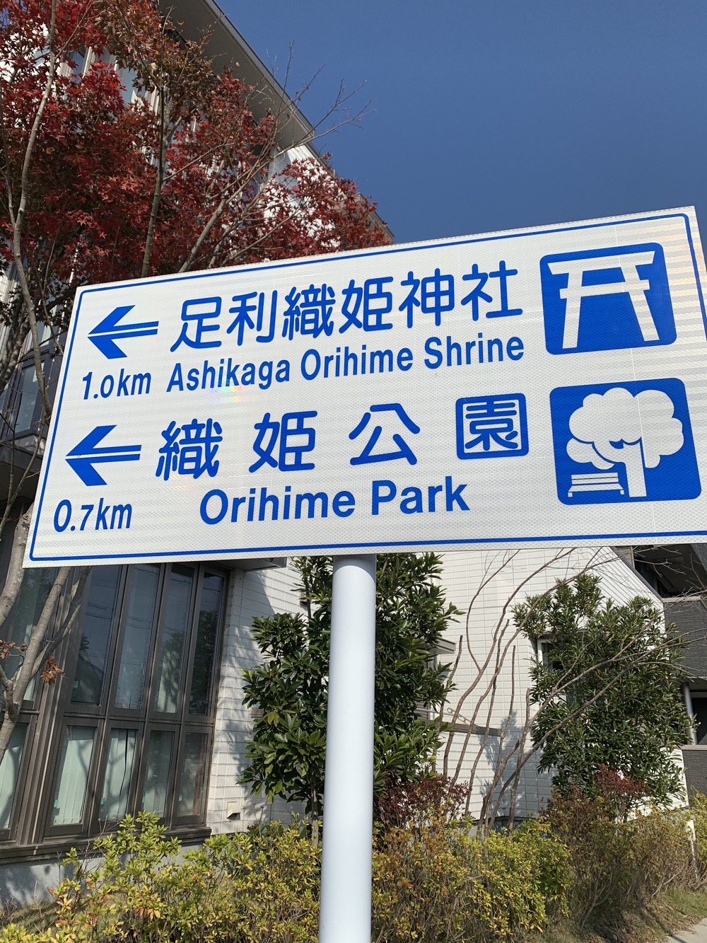 フラットなロードから緩やかな上り坂の写真3