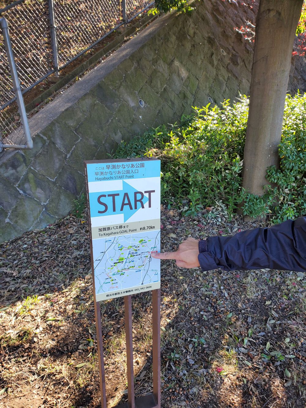 横浜港北公園巡りRUN🏃🏃‍♀️💨の写真4