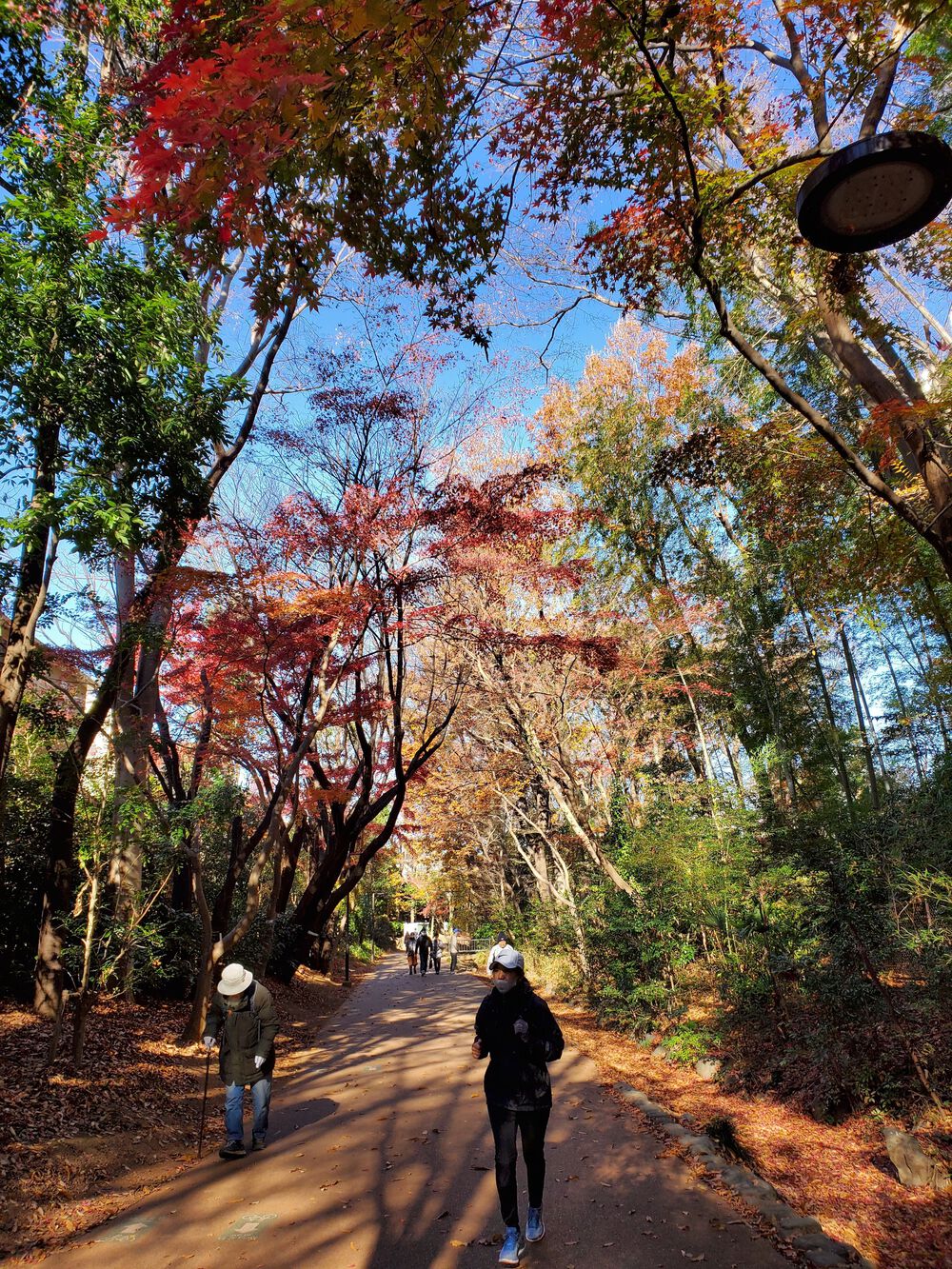 横浜港北公園巡りRUN🏃🏃‍♀️💨の写真5