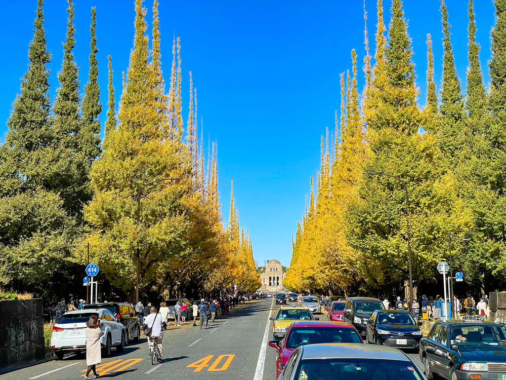 紅葉・たい焼き・行楽ランの写真4