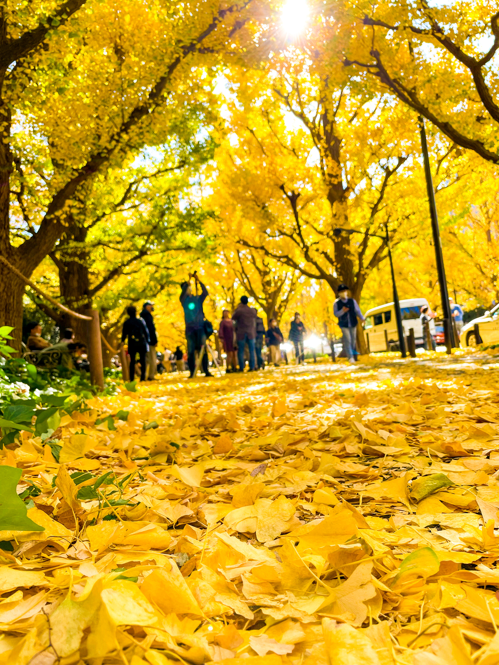 紅葉・たい焼き・行楽ランの写真5
