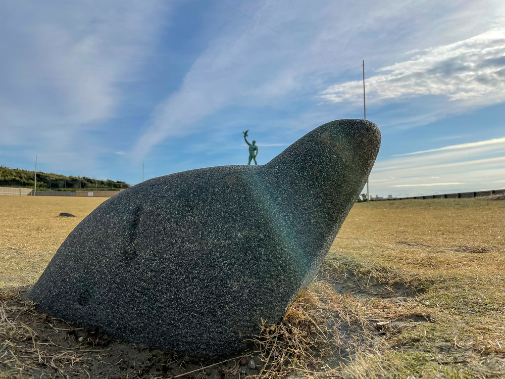 湘南ビーチラン（バーチャルホノルルマラソン）の写真6