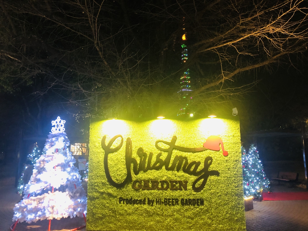 港区の湾岸夜景とクリスマスイルミ2020の写真4