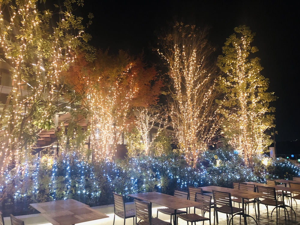 港区の湾岸夜景とクリスマスイルミ2020の写真8