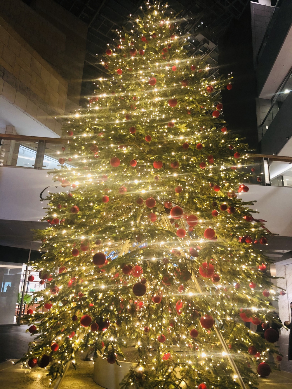 港区の湾岸夜景とクリスマスイルミ2020の写真10