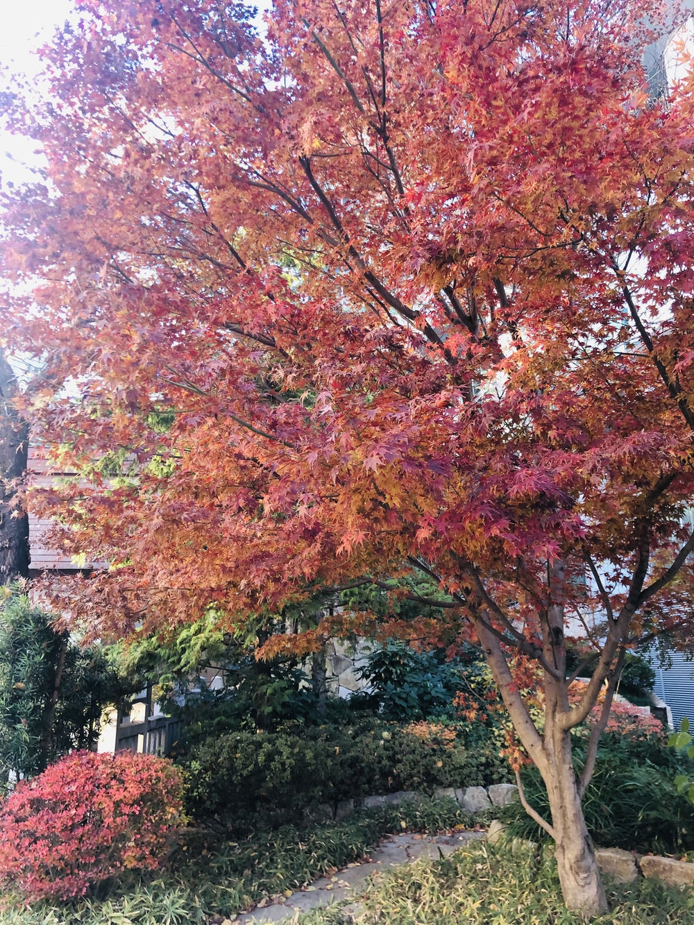 港七福神めぐり2020  東京タワー&ご利益の写真9