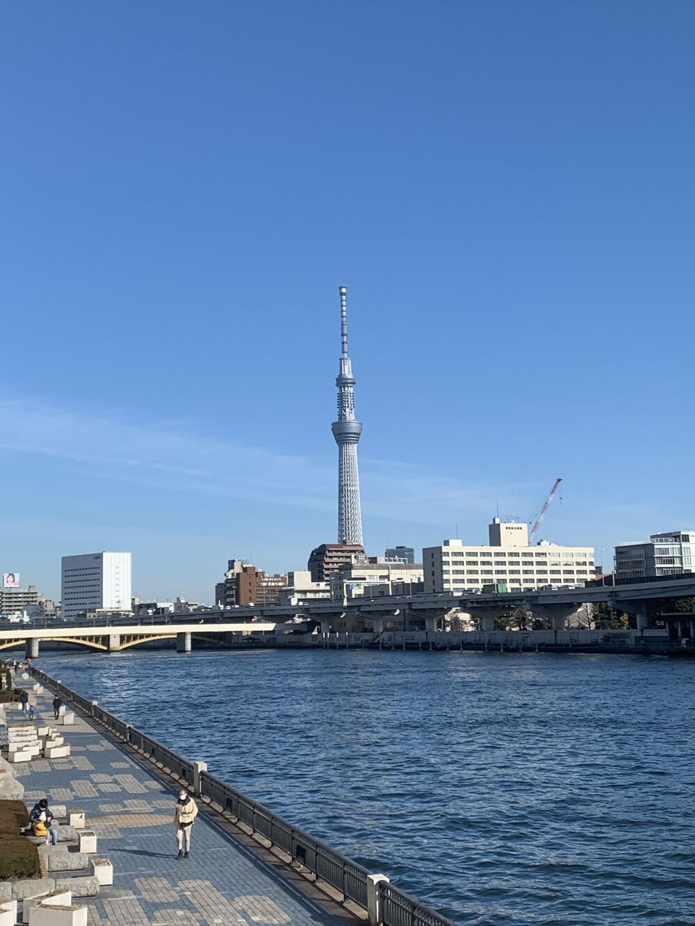 歌川広重と共にRUN 両国の写真4