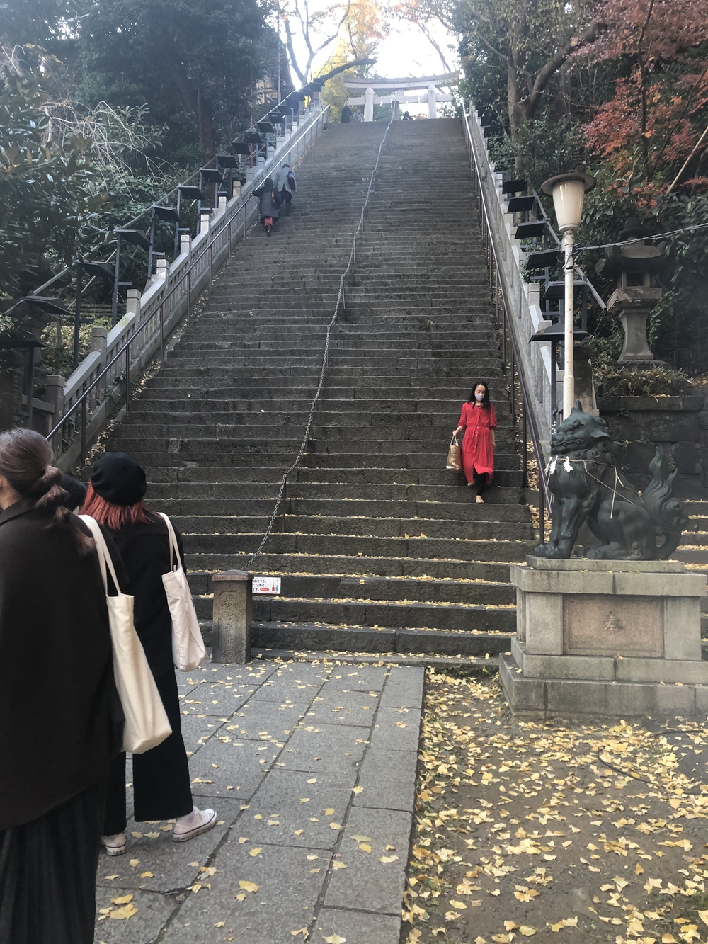 東京の一等地から下町の庶民の街を歩きます。の写真3