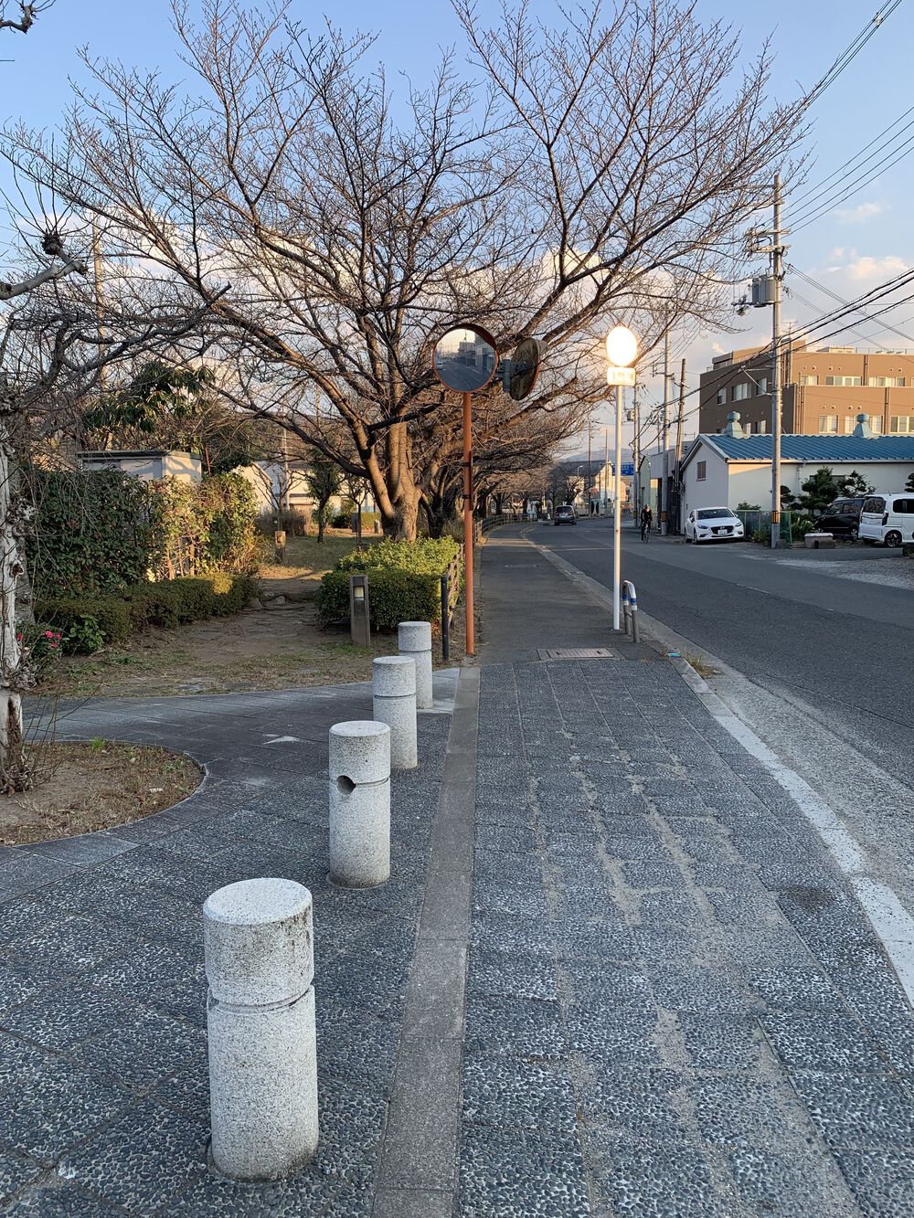 竹内街道(たけのうちかいどう)残り半分の写真12