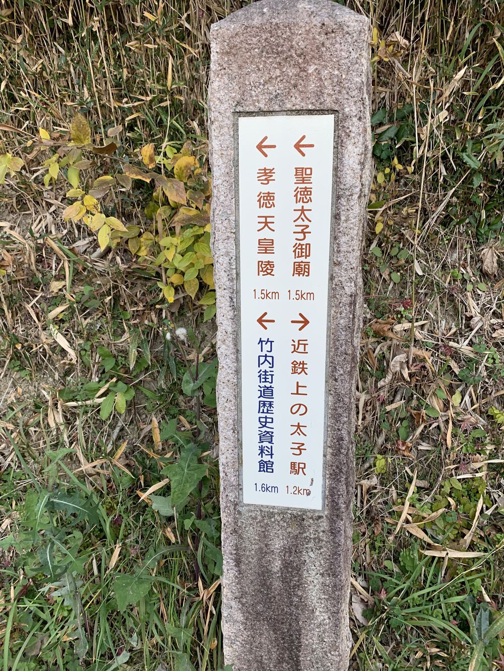 竹内街道(たけのうちかいどう)残り半分の写真22