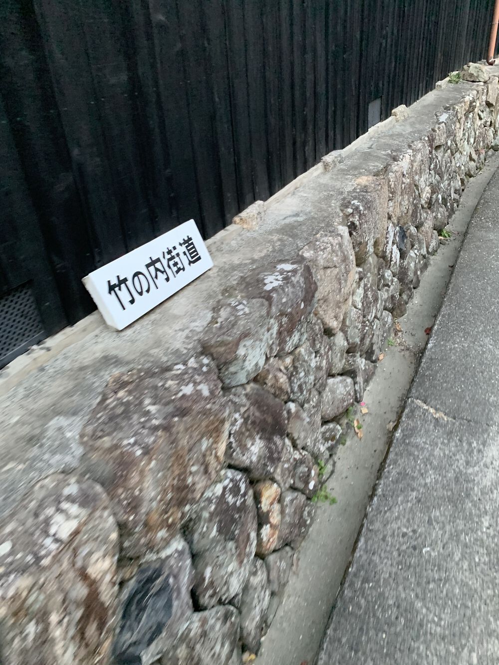 竹内街道(たけのうちかいどう)残り半分の写真38
