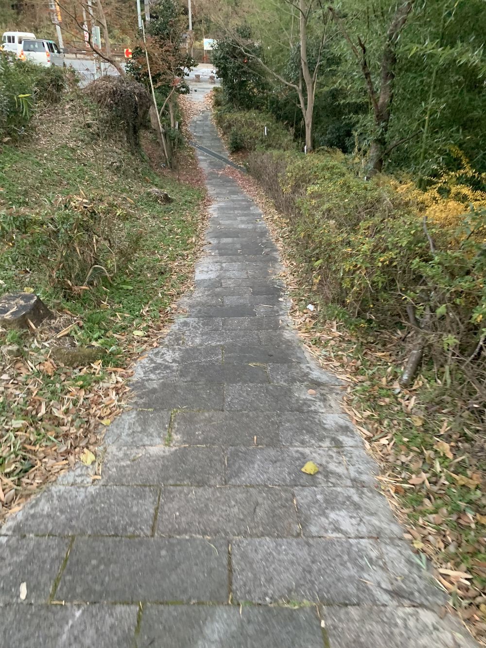 竹内街道(たけのうちかいどう)残り半分の写真44