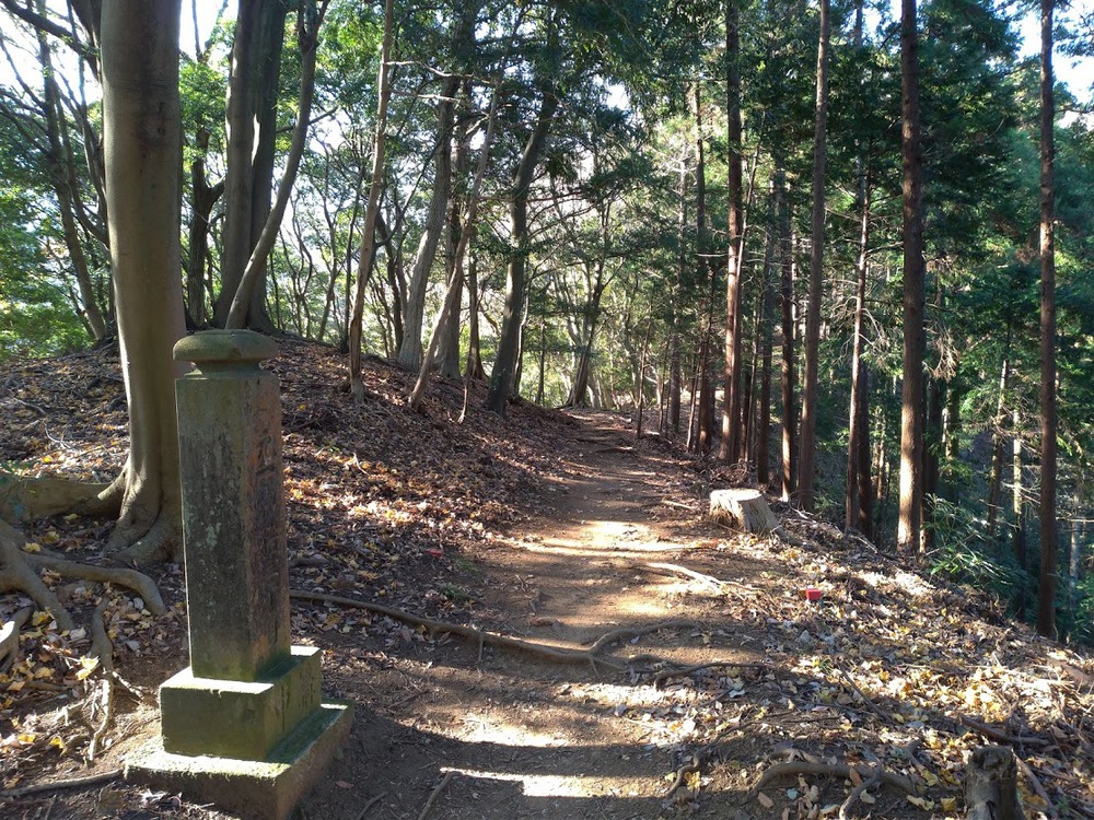 お気軽トレイルランニング（鐘ヶ嶽）の写真3