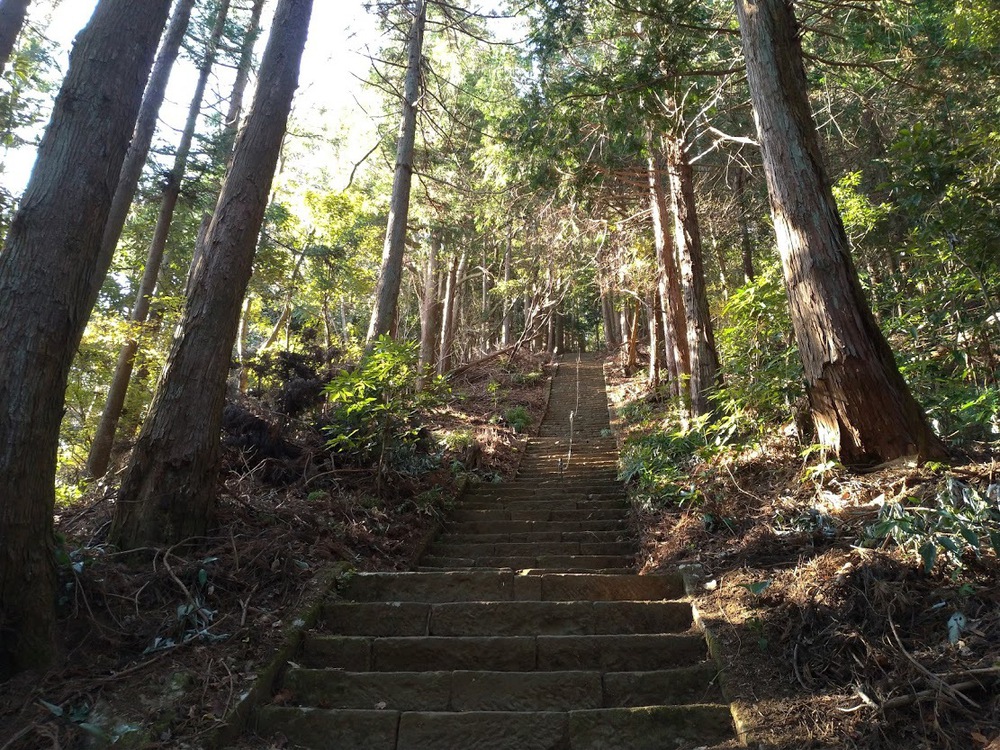 お気軽トレイルランニング（鐘ヶ嶽）の写真5