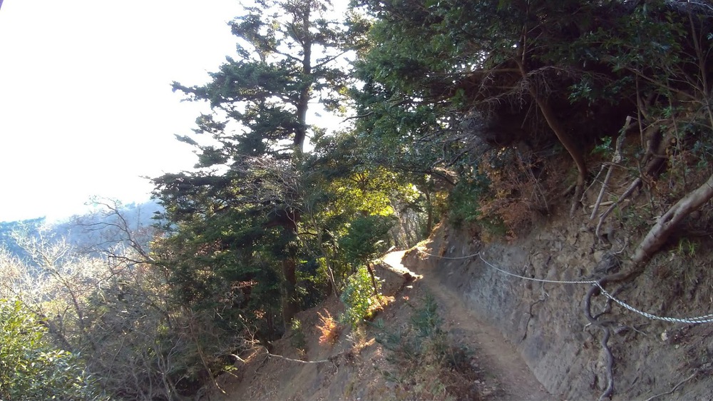 お気軽トレイルランニング（鐘ヶ嶽）の写真7