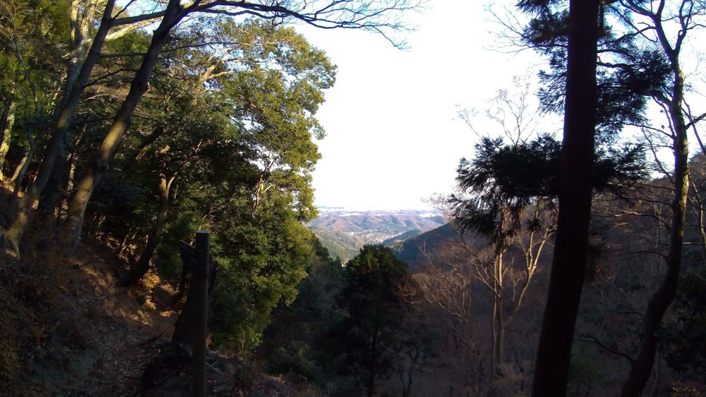 お気軽トレイルランニング（鐘ヶ嶽）の写真8