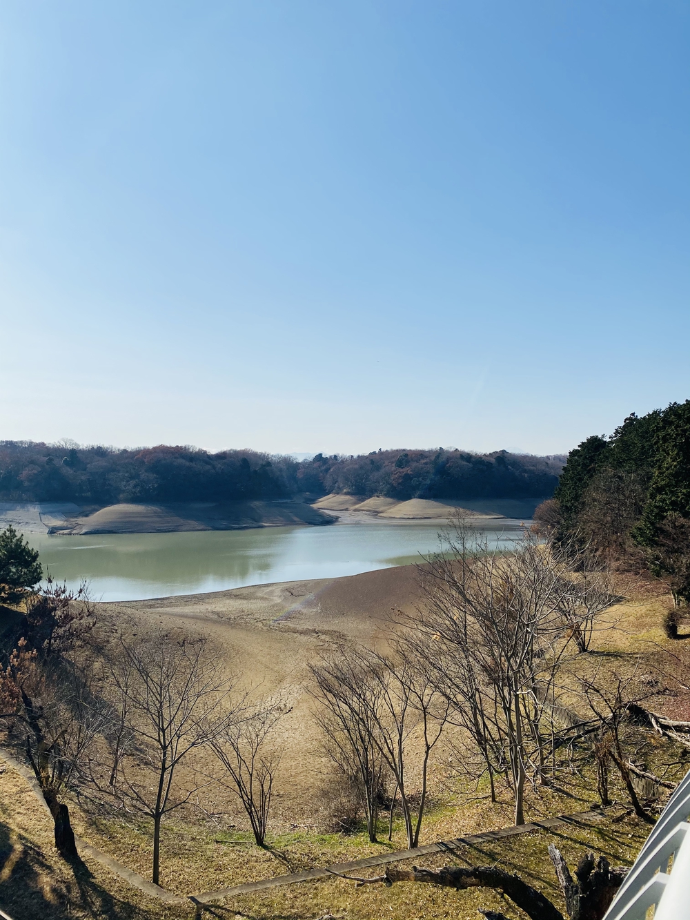 吉祥寺～東京で一番長い直線道路～多摩湖1周ロング走  の写真3